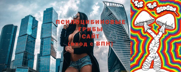 твердый Алзамай